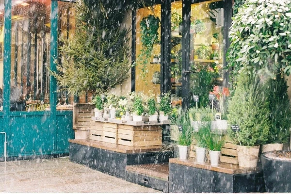 Tiêu đề bài viết 3